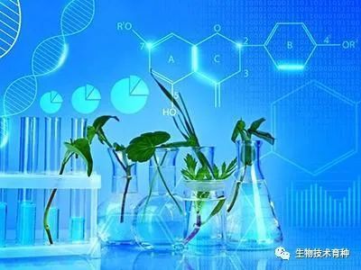 农业部科教司解读如何抓住生物技术和信息技术革命带来的新机遇