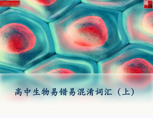 高中生物易错易混淆词汇 上