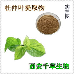洋葱纯浸膏 厂家专业生产天然动植物提取物定做浓缩流浸膏 西安 植物提取物